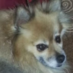 Meet your Posher, Joann